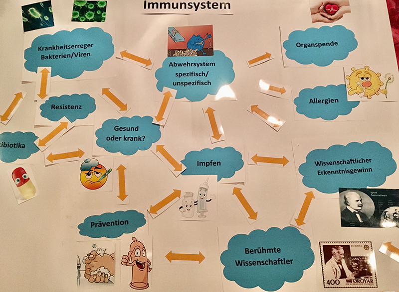 Advanced Organizer zur Einheit Immunsystem